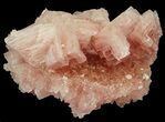 Pink Halite Crystal Plate - Trona, California #40554-1